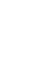 zadig